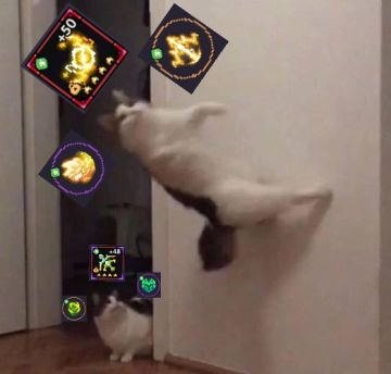 [猛新向][第四期]疯藤时代结束，向雷光转型——新手游侠速成记录11.6