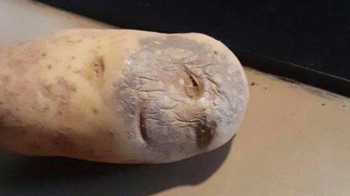 发现个流派，可以让瞬身摆脱机关喷口的阴影。就是把猛虎放三号位截图