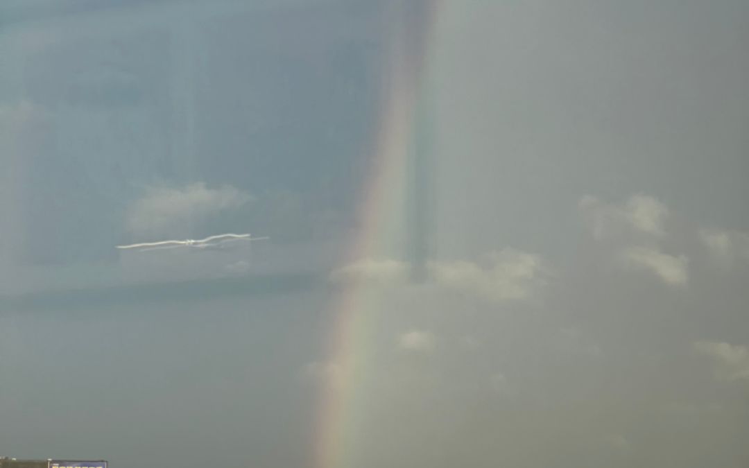 video-2921306