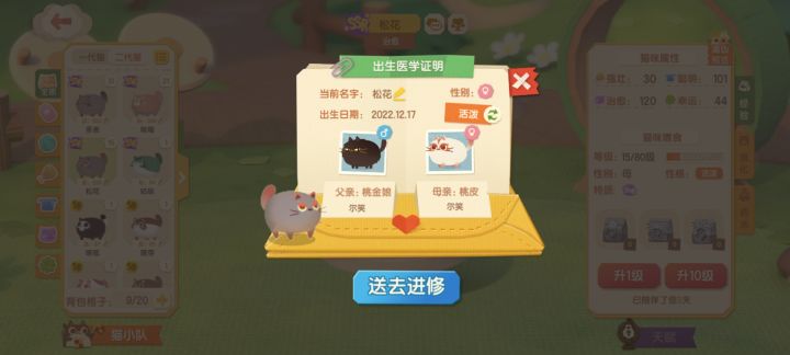 猫崽记录贴截图