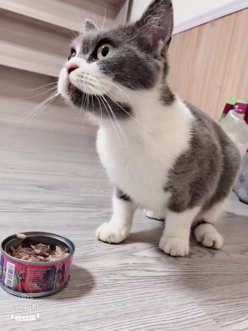 虽然菜～我会努力哒☺️💖