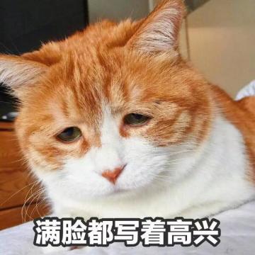 猫咪有可能生病了的四个表现，铲屎官们可千万不要大意！