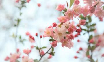 冬去春来，泰普纳新（内含抽奖福利！）【已开奖】