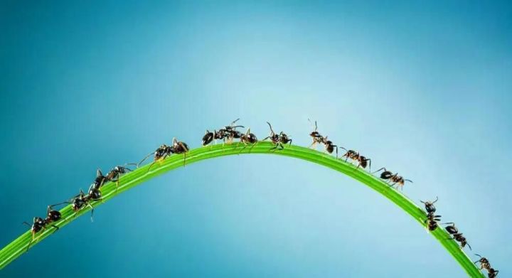 一个小小的问题截图