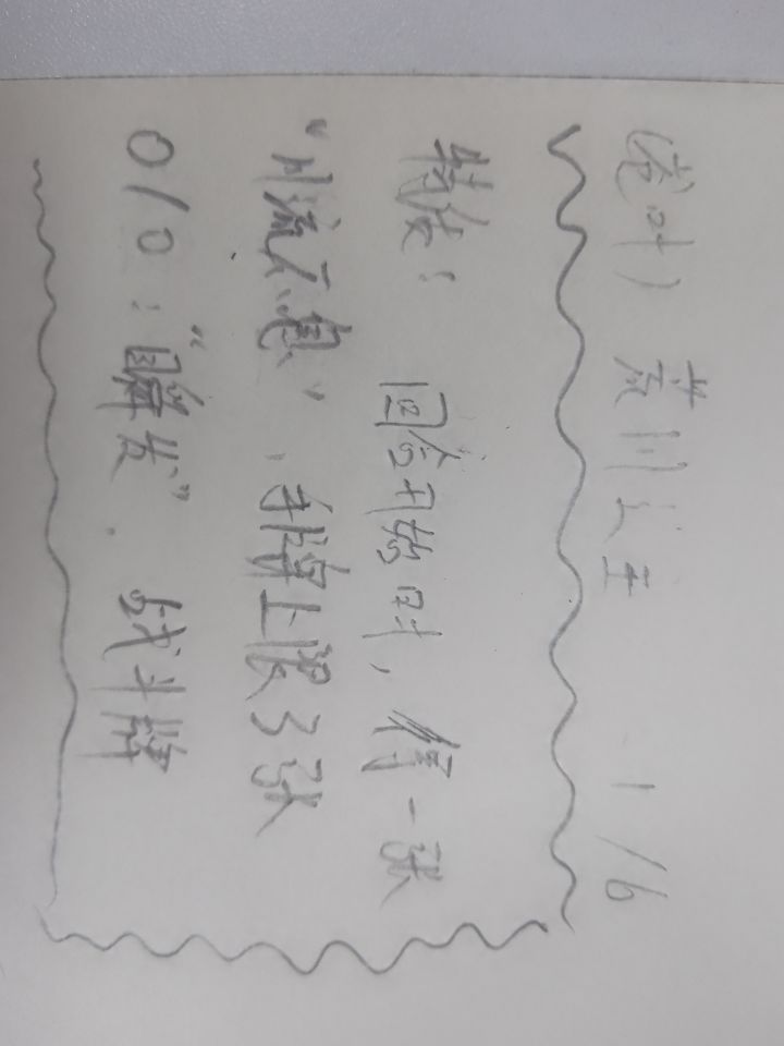 DIY荒川之主,(字丑见谅)截图