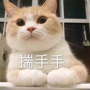 猫咪为什么喜欢揣“爪爪”呢