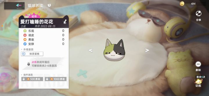 猫之城500勇敢➕1000勇敢截图