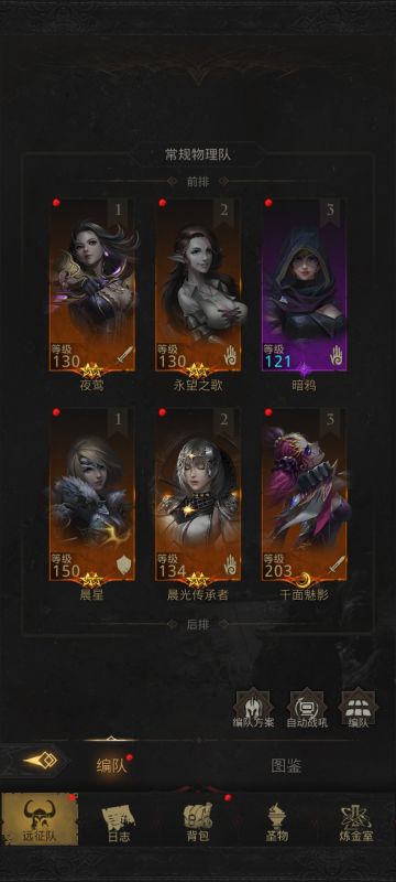 秘境6物理队阵容