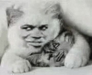 感谢有你们！！