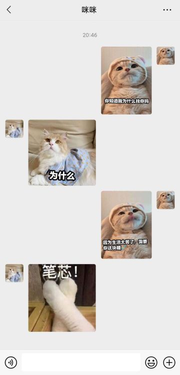 【表情包专栏】生活太苦了，需要你这块糖