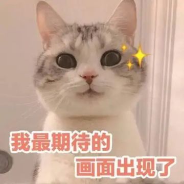 谁看谁喜欢，这就是梦想中的大house？