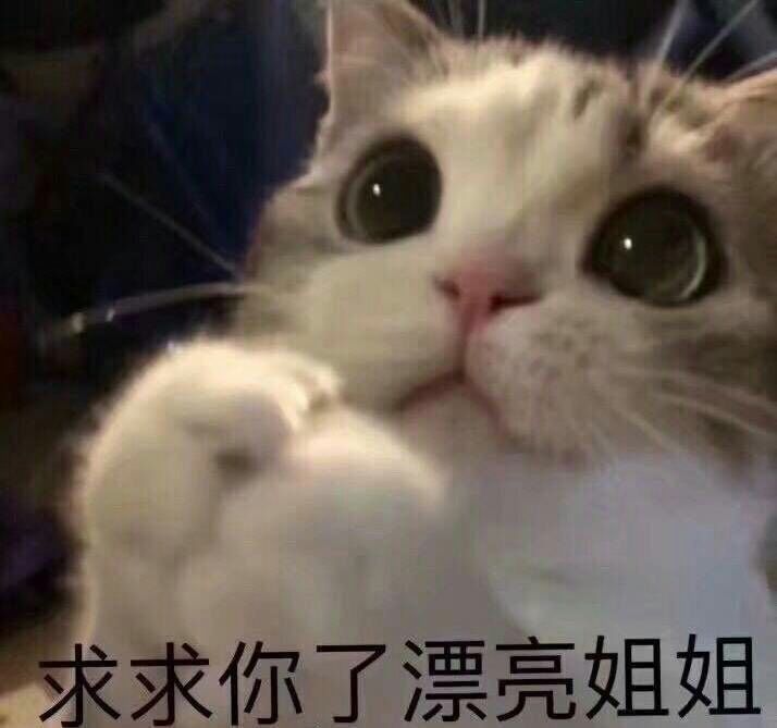 求个邀请码截图
