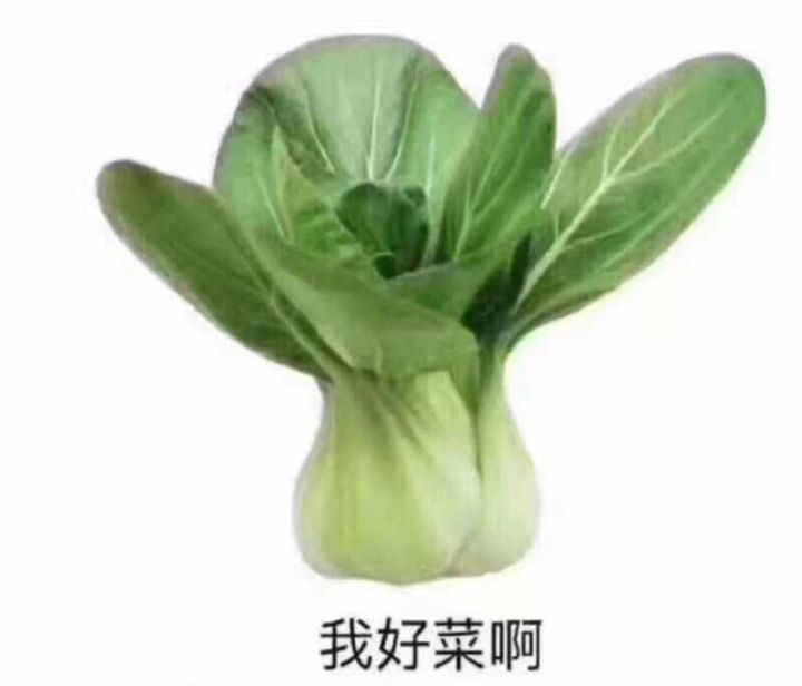 这一周好非啊截图