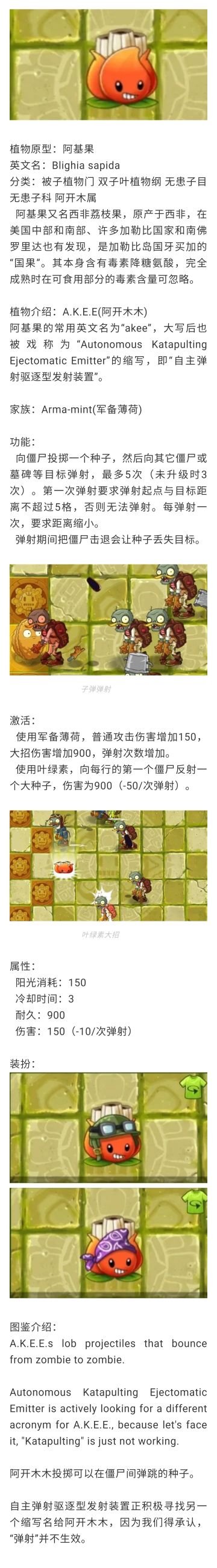 【植物图鉴】阿开木木