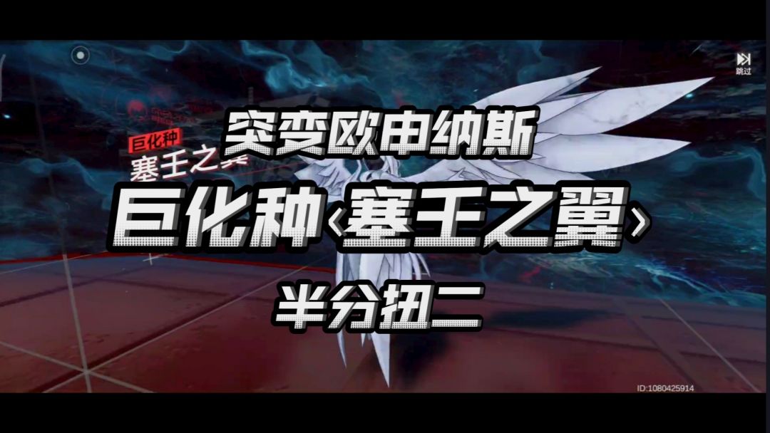video-3077675