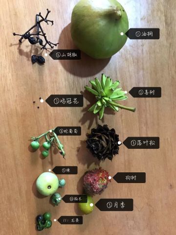 看见有活动激动到爬上了老家的山