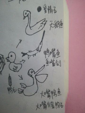 [新鱼我来设计]ID115030+魅之影+鸭子鱼（鸭族）