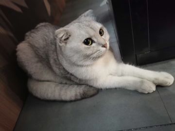 ❤️美好家园需要大家一起努力哦☺️💕