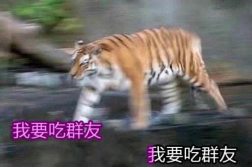 整点绝活,拔刀无分身4星魔人截图