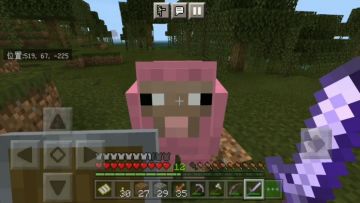 又在这个存档遇到粉红羊了卧槽！！