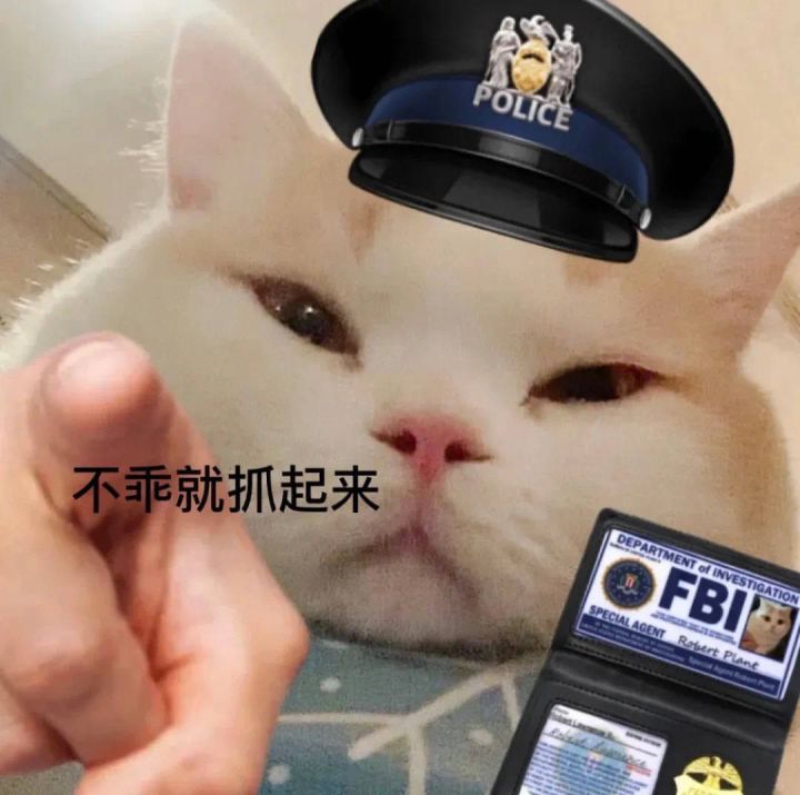 咸鱼代练会不会有那种伤害很高的脚本呀?截图