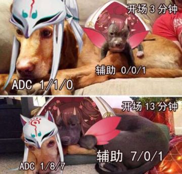 从零开始的辅助教学攻略:新版本辅助装解析