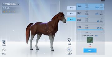 （育马篇3/3）四星紫马和五星粉马属性对比、究竟谁的性价比更高，各职业该怎么选（以及六星金马属性分析）