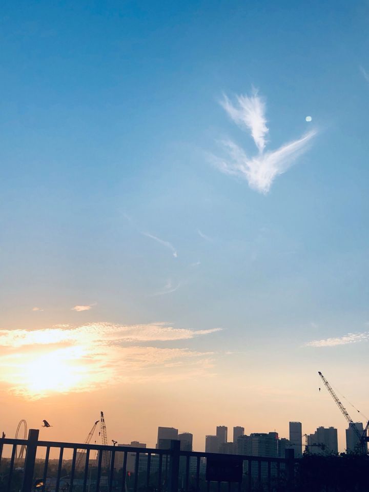 拉肚子好烦啊!腿软…截图