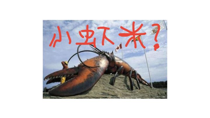 第二章必死之局截图