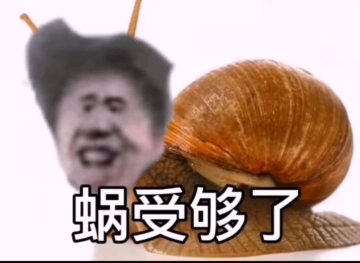 还真就那个做贼心虚截图