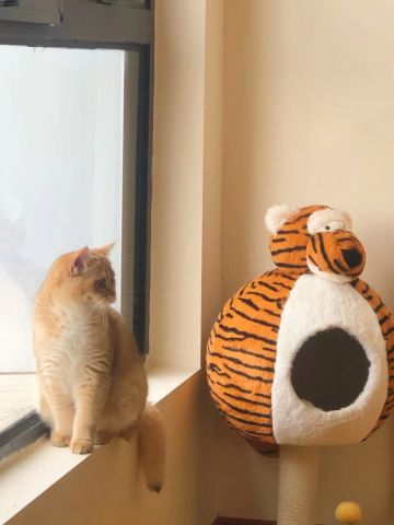 🧏‍♀️♥️恶魔法队定妆照又来啦😇🐟