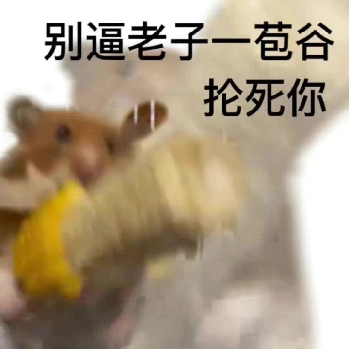 求问求问截图