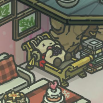 兔兔的吃喝记录（持续更新）