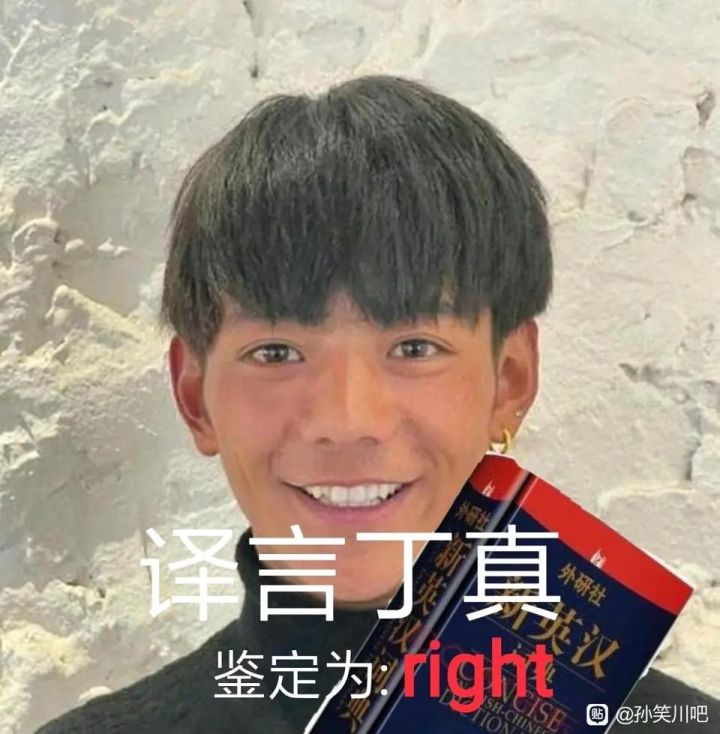 自制丁真系列表情包鉴赏截图