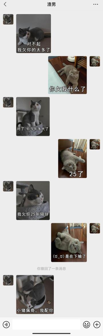 【表情包专栏】对不起，亏欠你的太多了