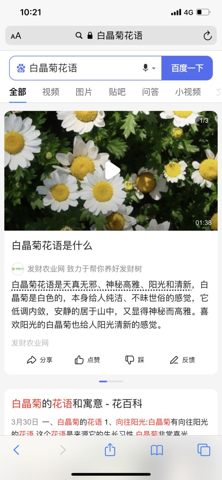 花语,鹰角用心了截图