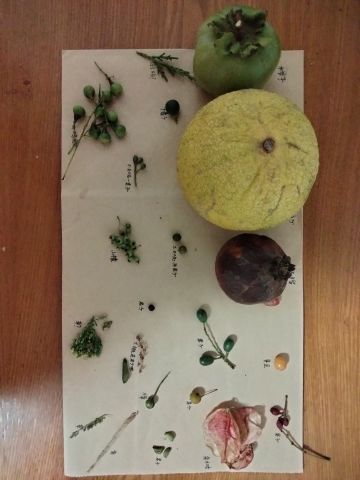 参加屯屯鼠活动！