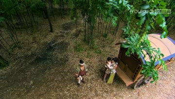 一些影视剧里的树（不定时更新）