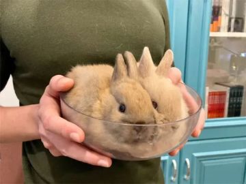 来点沙雕图【274】