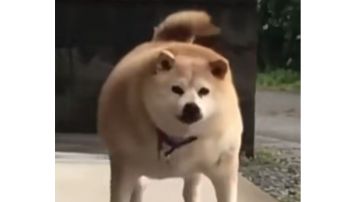 450小时游玩时长，退坑纪念