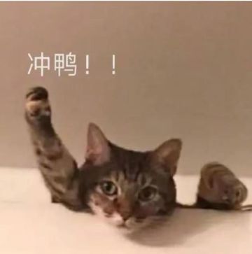 #狼人夜话#狼人杀官方门派赛S11比赛现已开始，你最喜欢哪个门派的名字呢？