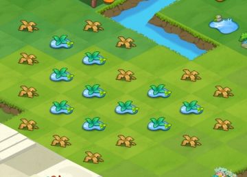 谁家的水草布局快快升级啦！