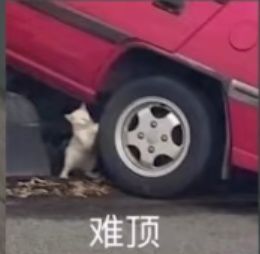 当你学大佬躲爆霸截图