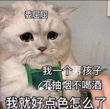 关于断网躲夜袭以及断网过怪的一点小经验。