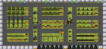 菜园子 ( ´▽｀)