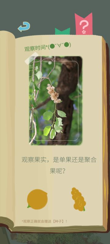 老农种树个人攻略