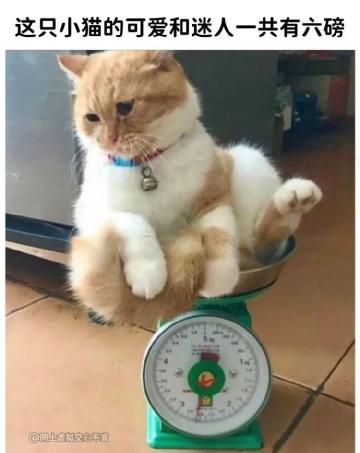 【柚子攻略】二百级后50次幻境重叠升一级