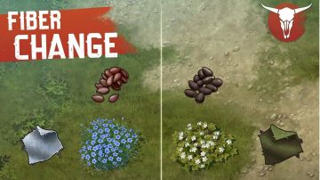 6月21日更帖，🌱Westland小贴士-纤维变化