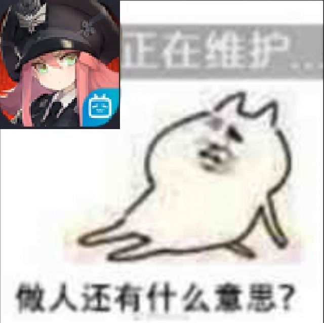 灰宝,我的灰宝😭😭😭截图