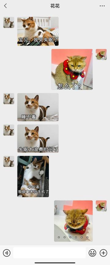 【表情包专栏】既然结果还是失眠，早知道继续《小猫爱消除》了